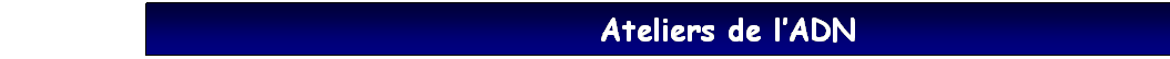 Zone de Texte: Ateliers de l’ADN